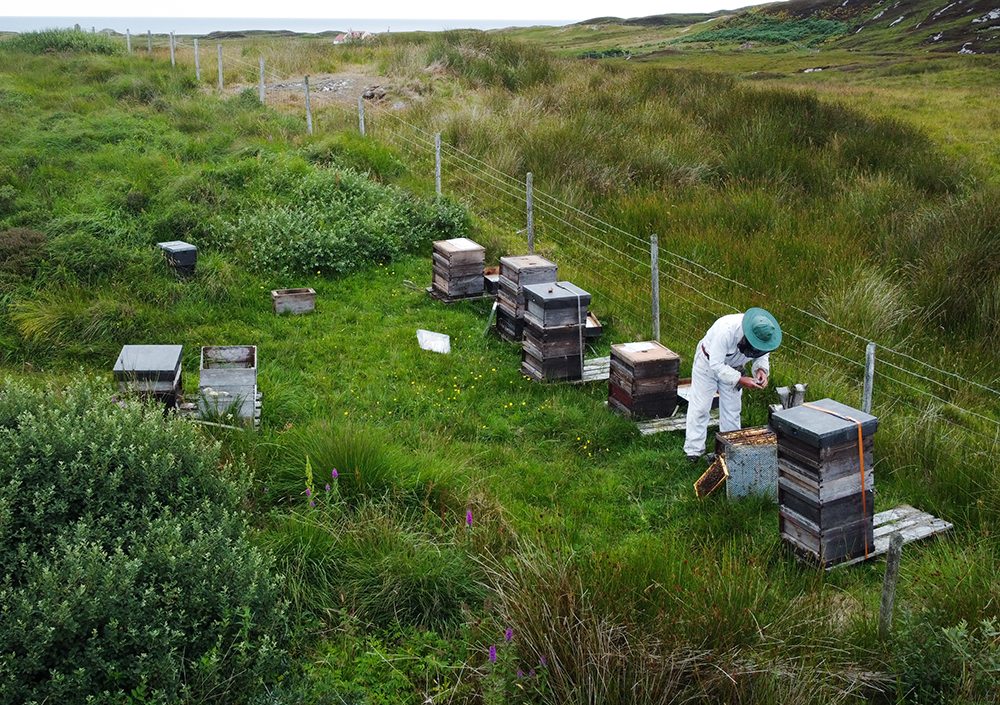 Colonsay Apiary