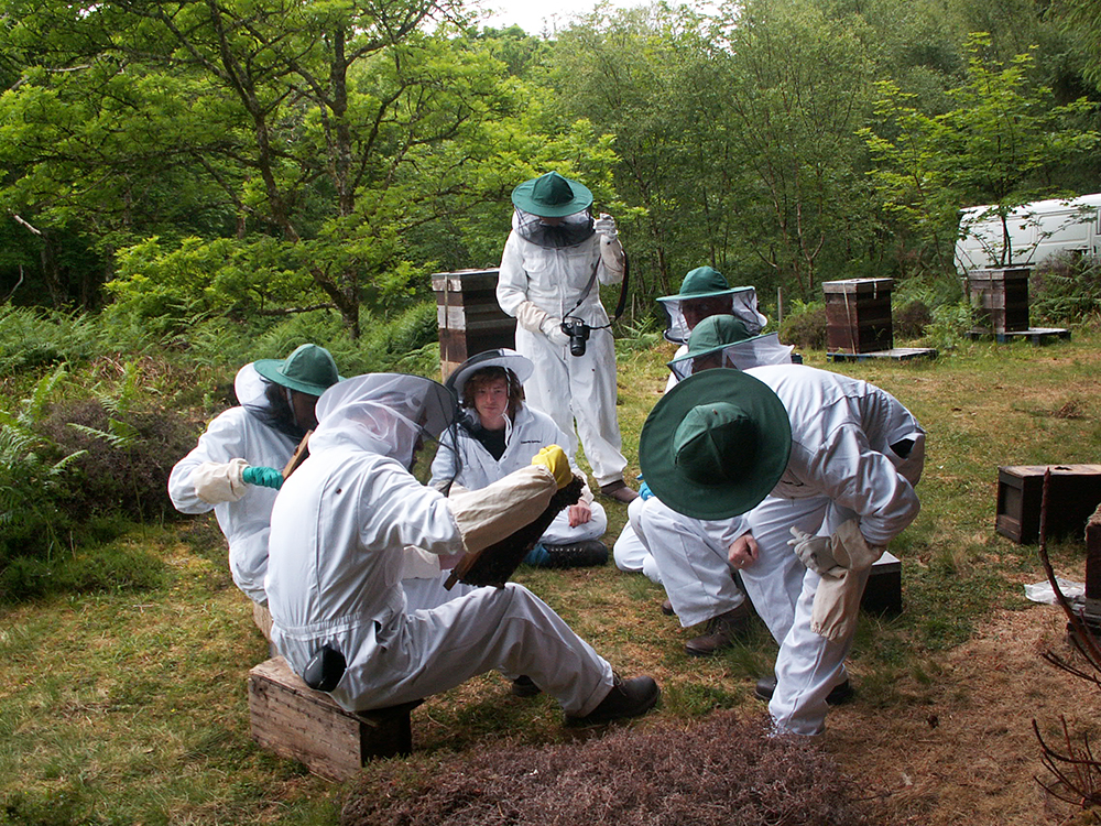 Teaching apiary, Colonsay